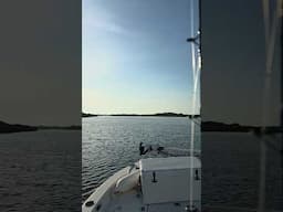 Epic offshore conditions Ponce Inlet #fishing #bigfish #florida #fishingtrip #newsmyrnabeach