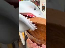Shark Eats Japan Cheese Coin