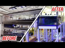 Greenhouse Coral Farm Update: Growth, Challenges & Future Plans!