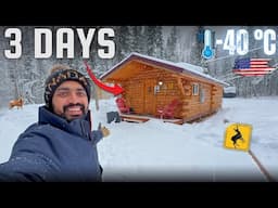 Staying in WOOD CABIN in ALASKA’s Jungle