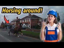 Horse and cart speeding on UK roads harness racing