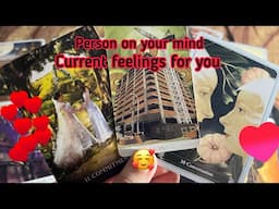 Person on your mind : Current Feeling/emotions of your person💞Hindi tarot card reading