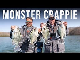 Targeting Monster Crappie in the Mud at Dale Hollow Lake