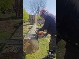 Firewood doesn't get much straighter than this!