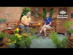Summertime Pollinators and Petals: Rainbow Gardens