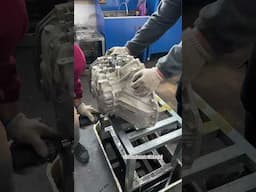 Zotye, 6-speed wet dual-clutch transmission.