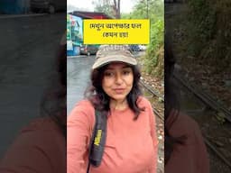 অপেক্ষার ফল নাকি সবসময় মিষ্টি হয়! সত্যি কি তাই?  #birdwatching  #shorts