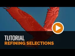 Refining Selections in ACDSee