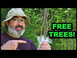 Free Earth Day Trees: Essential Care Tips for Your Bare Root Trees!