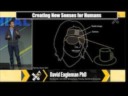Creating New Senses for Humans: David Eagleman at NextMed Health. #neuroscience