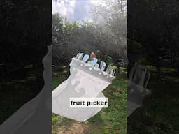 Climbing Ladders is DANGEROUS Use this to Pick Fruit Instead