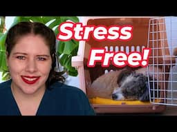 Top 10 Tips for Moving with Pets (Reduce Stress) | Vet’s Voice