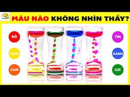 Câu Hỏi Xoắn Não Chỉ Có 10% Người có Đôi Mắt Thần Mới Đoán Hết Được | Nhanh Trí