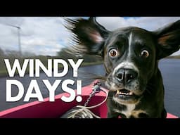 We Lost Control of our Boat in Gale Force Crosswinds | Ep 396