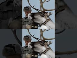 1944, Finnish Soldier in Lapland #mysteryscoop