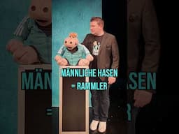 Der Rammler 😳🤣 #shorts