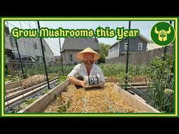 Planting Gourmet Mushrooms In Your Garden - Easy, Fast, Delicious!