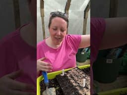 Are you growing your own food this year? Sow along with me! #gardening #growyourownfood