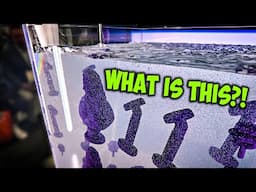 3D Printing in HAIR GEL?! My Top 5 from Rapid + TCT 2025