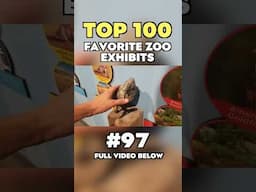 My Top 100 Favorite Zoo Exhibits no. 97