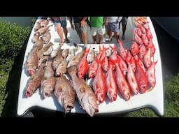 750 lbs of Groceries || INSANE Bottom Fishing
