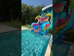 The Biggest Inflatable Water Slide EVER 🛝💦