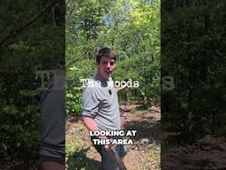 Lost Blue Camry  Frantic Search in the Woods! License Plate Inside