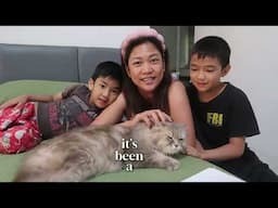 Life update: WFH career, Frozen shoulder, Cats, homeschool