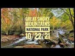 #GreatSmokyMountains Fall Colors October 22nd 2021 #Elkmont