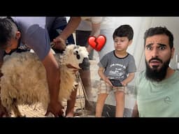 Hamari bachri aur dumbey ki qurbani hogai 🐂 emotional moment ❤️