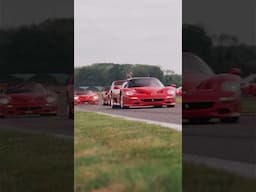 What do you call a gathering of special edition Ferrari’s? 🇮🇹 #F40 #F50 #Enzo #288GTO