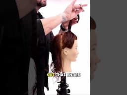 Octopus Haircut Made Easy | Point Cut a Ponytail for Instant Layers #OctopusHaircut #layeredhaircut