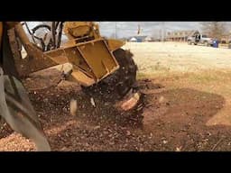 Stump Grinding a Small Stump for a New Driveway