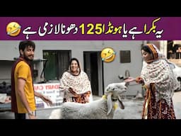 "Yeh bakra hai ya Honda 125? Dhona lazmi hai! 😆