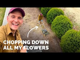 Mowing down debris in early spring to promote new growth