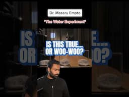 The Rice Experiment