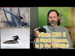 NIkon Z50 II