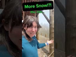 Spring in the Rockies! Life over 9000 ft.