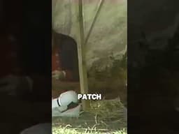 "Private Yankee Doodle" 1977 - Part 9 #lionheartfilmworks #AmericanRevolution #Bicentennial