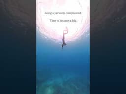 being a human is exhausting #freediving
