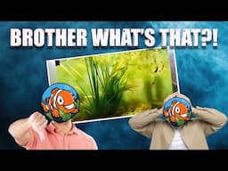 YOU Won’t Believe These Fish Tank Disasters...