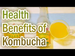 Health Benefits of Kombucha | Is Kombucha Really Good for You? Benefits of Drinking Kombucha Tea