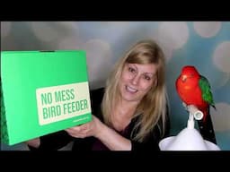 This No-Mess Bird-Feeder Cut my Cleaning Time in Half!