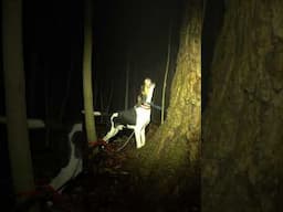 Casey Stallard and Osage Orange  #shorts #short #shortvideo #shortsvideo #trending #viral
