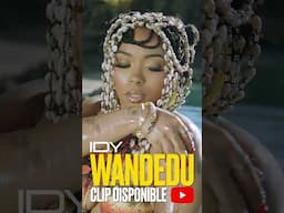 IDI Wandedu #afrobeat