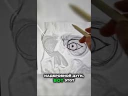 С чего начинается бровь: анатомия, треугольник света и надбровная дуга #перманентныймакияж #татуаж