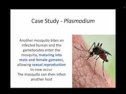 AH Biology - 2.5 Parasitism