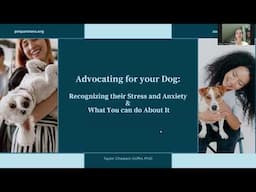 Community Education Series: Advocating for Your Dog