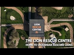 STEP INSIDE! the Lion Rescue Centre | The Big Cat Sanctuary
