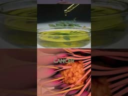 Fighting Aggressive Cancer #shorts #cancer #science #breastcancer